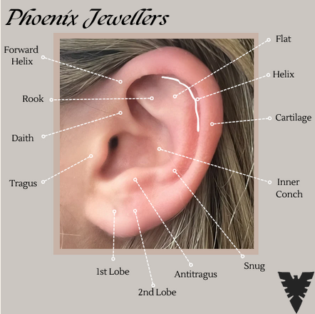 Ear Piercings Guide