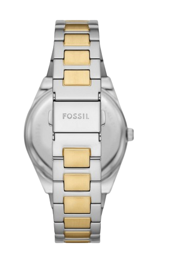 Fossil scarlette two tone hotsell