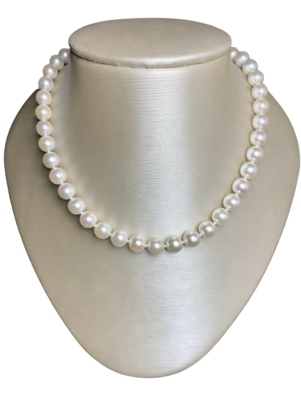 14kt Yellow Gold 18" Akoya Pearl Necklace | CHA-1130